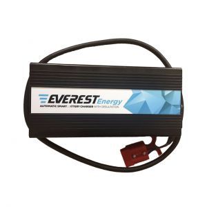 Зарядное устройство EVEREST ENERGY 24 В